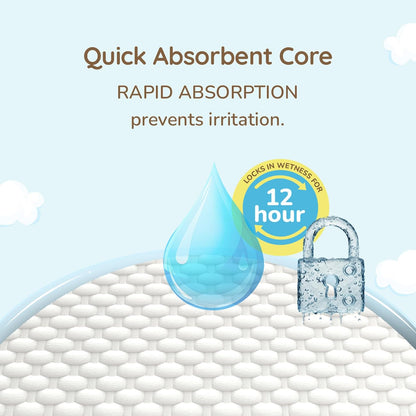 Baby Essentials Combo : Breeze Baby Diaper Pants & 99% Baby Water Wipes (Pack of 2)